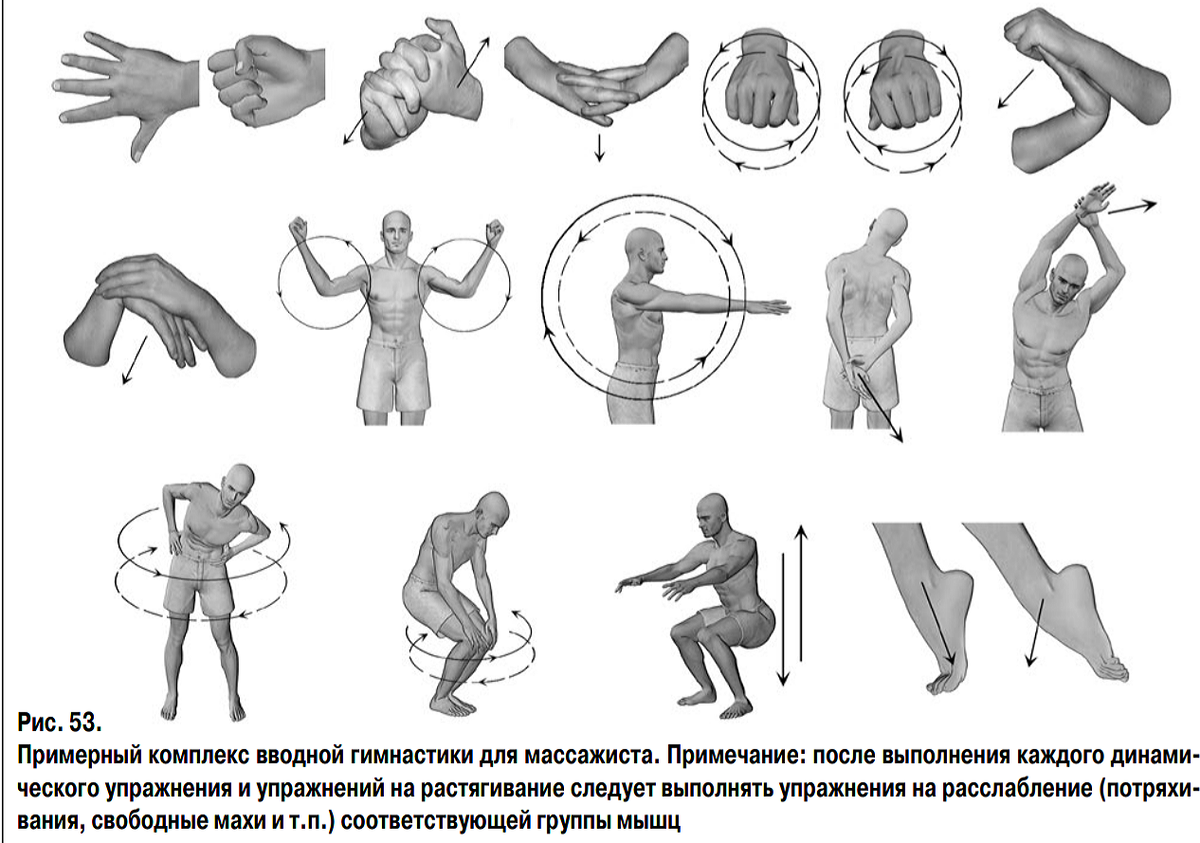 ГИМНАСТИКА ДЛЯ МАССАЖИСТОВ. | Физическая реабилитация, массаж, ЛФК. | Дзен
