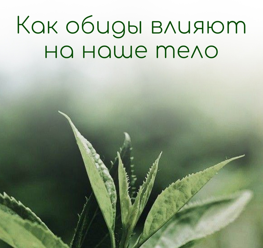 умные мысли про обиду. презентация на тему обида. живи и радуйся жизни цитаты. стихи про обиженных детей. обида это в психологии.
