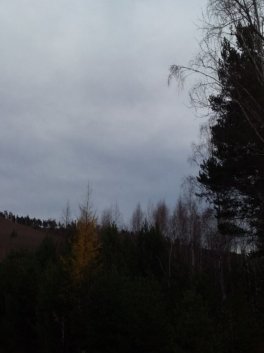 Фото автора. Уже хочется весны, или лета, или осени)