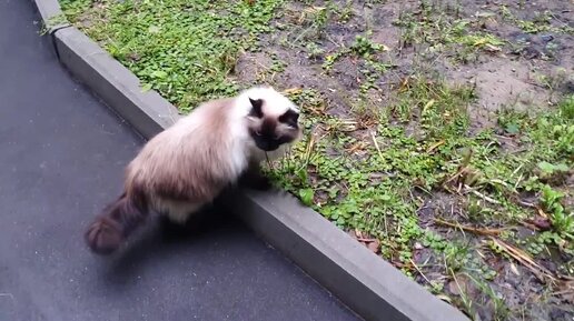 женщина сверху. давид дубницкий мама. женщина сверху. девушка сидит на коленях. села на лицо.