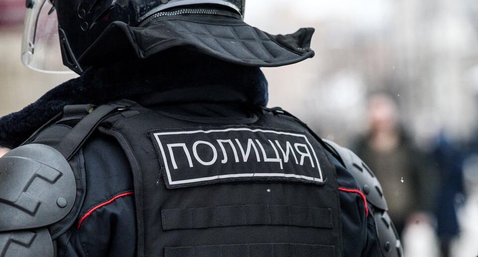 Анонимно сообщить в полицию. Вызов полиции. Звонок в полицию. Сообщение от полиции. Звоню в полицию.