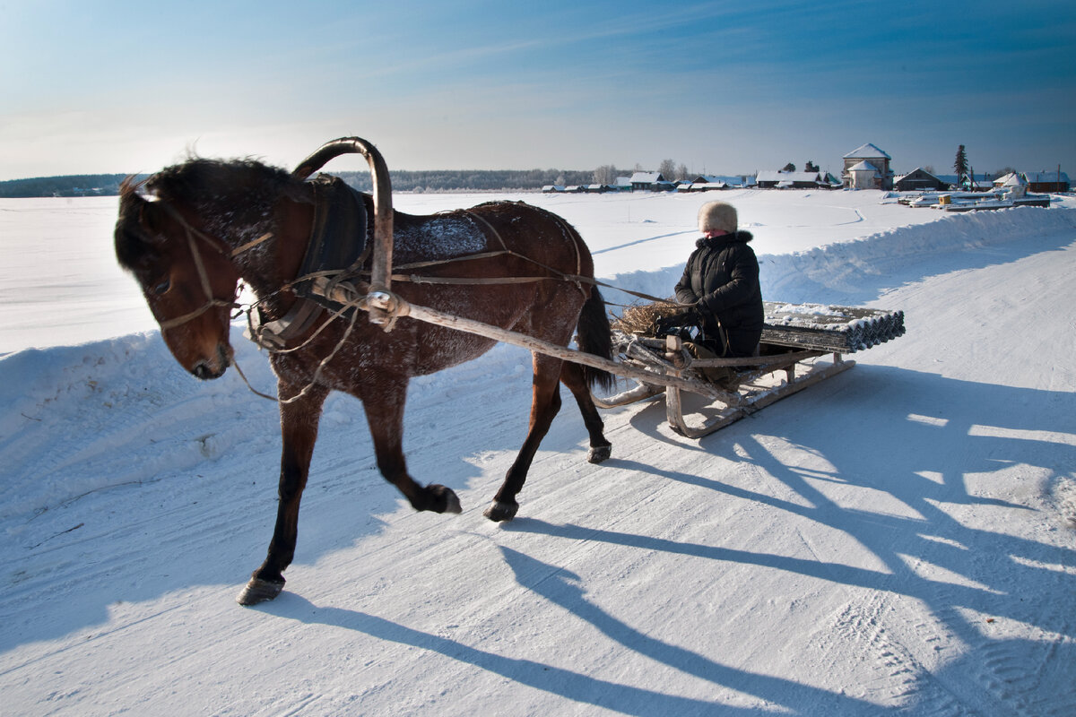 Фото:  Konstantin Kokoshkin/Russian Look/Global Look Press