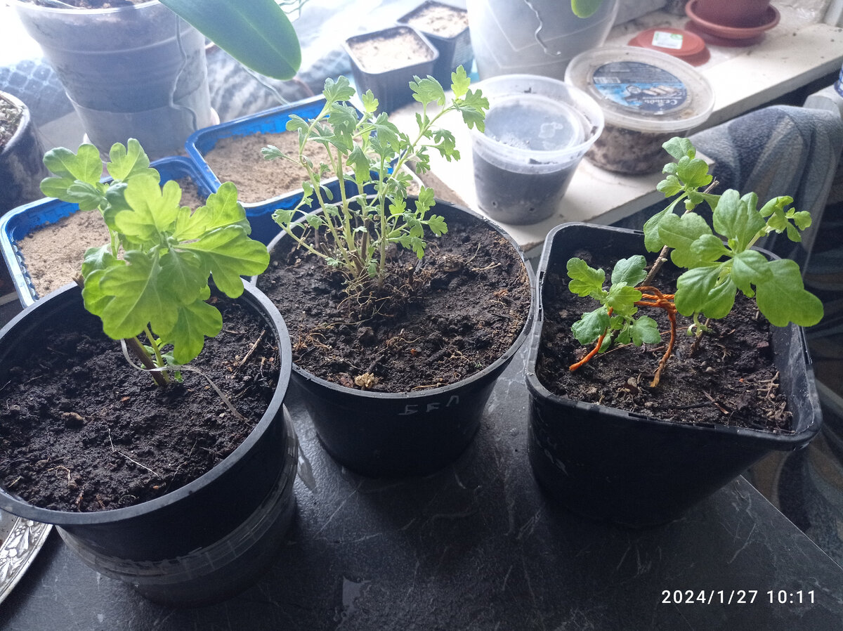 весна скоро