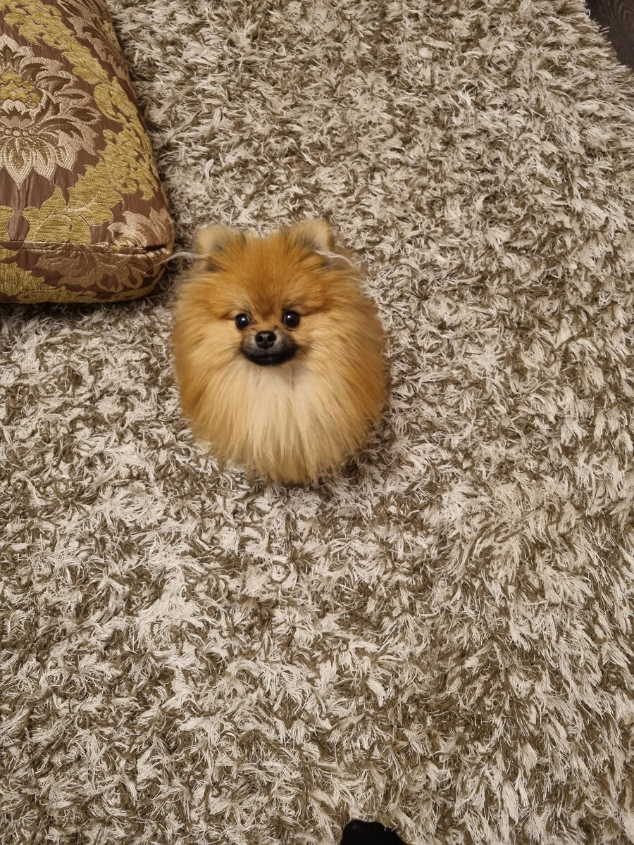 Мой красавчик #1