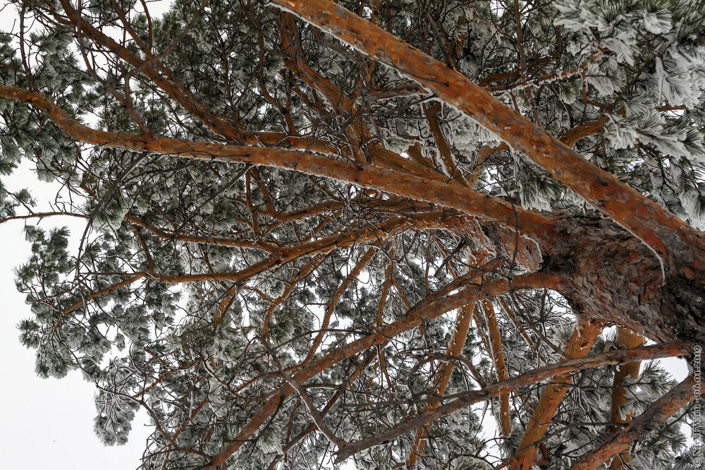 © NickFW.ru — 06.01.2019г.