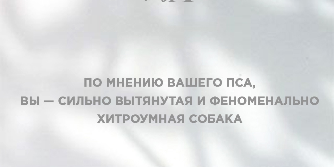 ЧТО ДЕЛАТЬ, ЕСЛИ СОБАКА ХОЧЕТ ВАС ПЕРЕХИТРИТЬ?