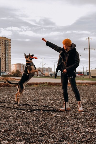 оставайся преданной своим принципам и верной своим понятиям. консервативный человек. человек верный принципам. афоризмы про верность. принципы пед проектирования.