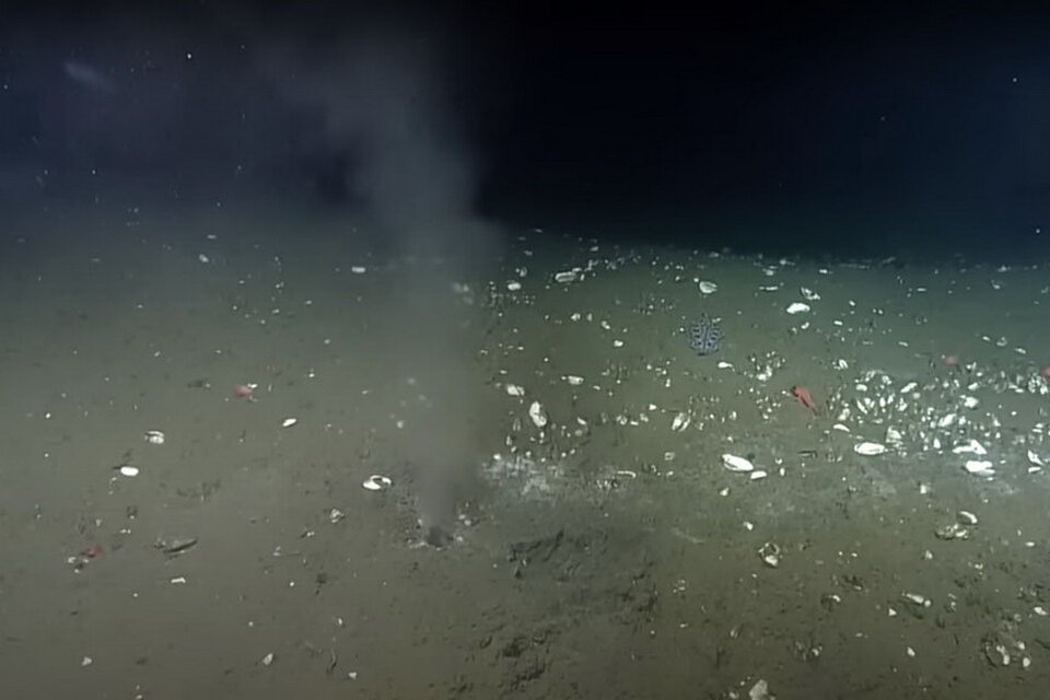 Те самые отверстия на дне, обнаруженные учеными