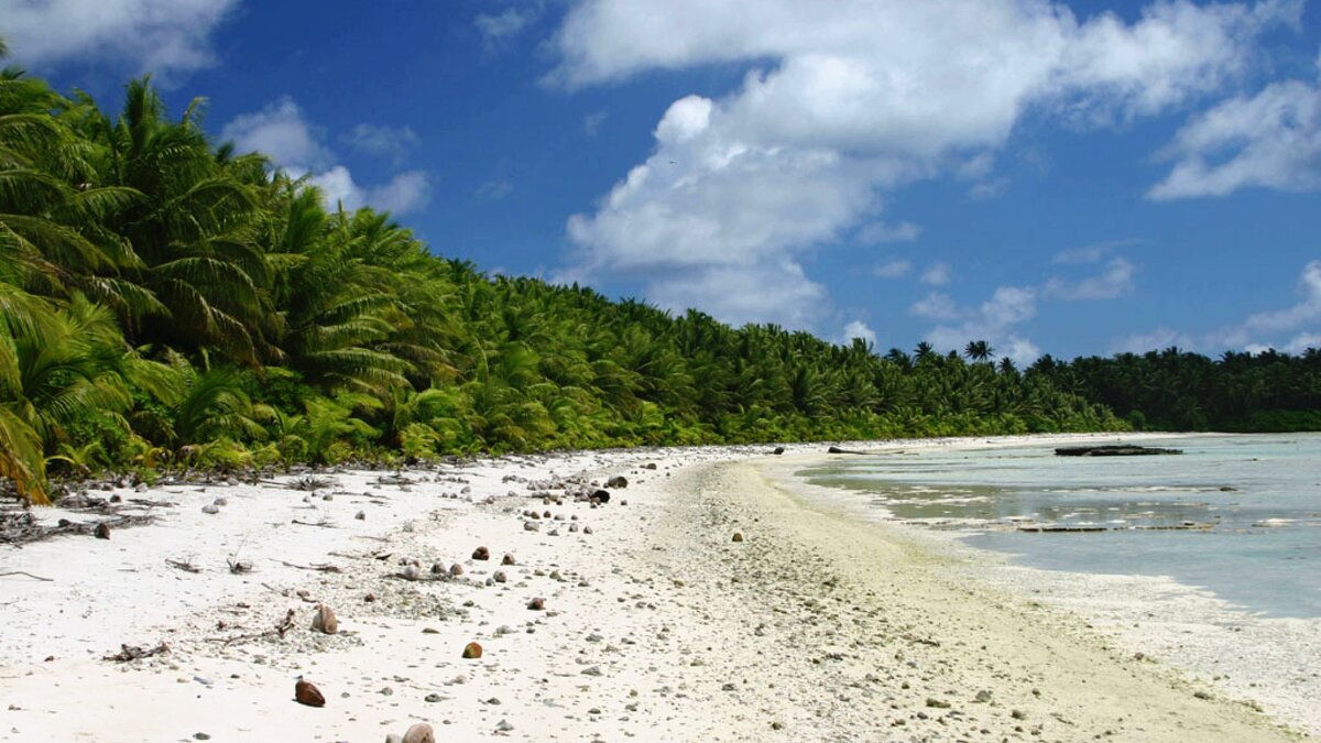 Остров атолл Пальмира: место, где никто не хочет жить