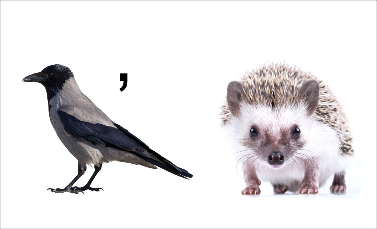 Загадки для взрослых. Сейчас 1 загадка. Загадки для детей 10-12 лет с ответами на логику. 3 загадки о весне 2 класс с ответами. Лёгкие загадки с ответами.