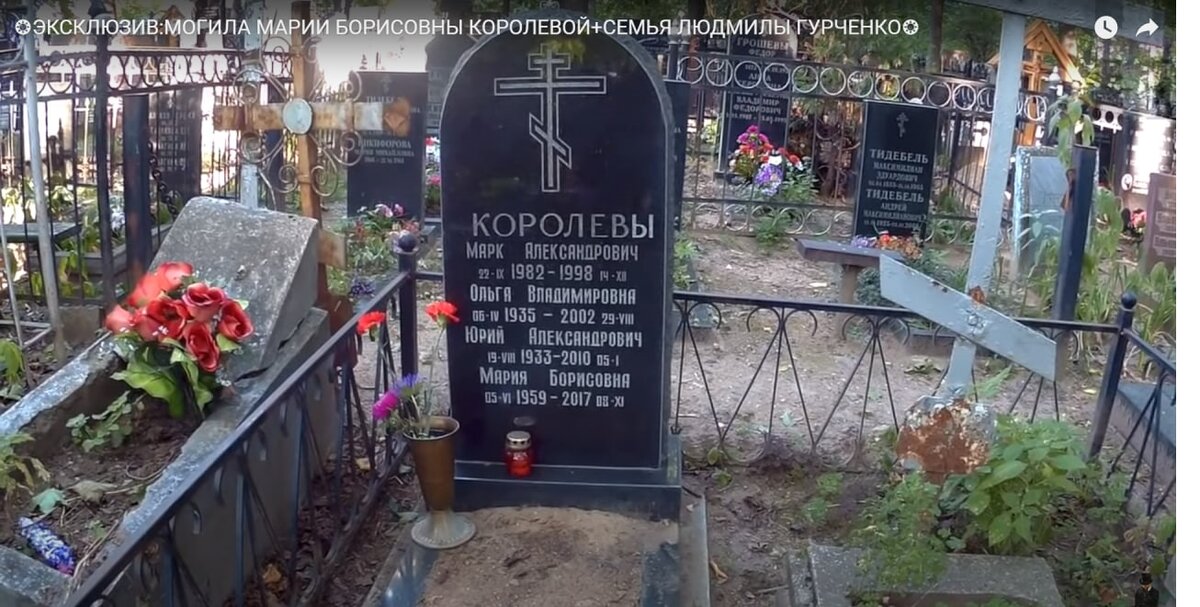 собаки уходят из дома перед смертью. человек с собакой. стихи о собаке ушедшей. собаки уходят из дома перед смертью. люди прощаются с питомцами.