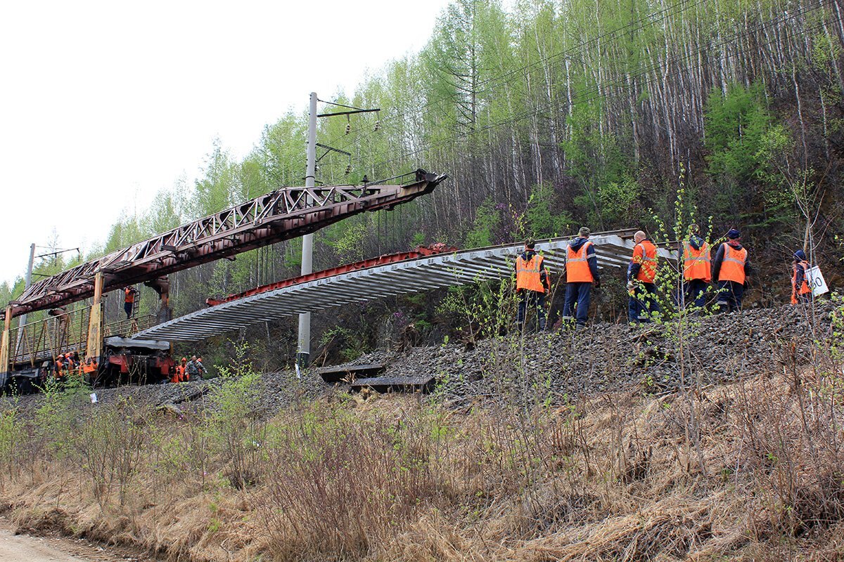 Как путейцы защищаются от медведей в Тайге, где на сотни километров - ни  души. Есть ли у них ружья, или другое средство защиты? | ПОД СТУК | Дзен