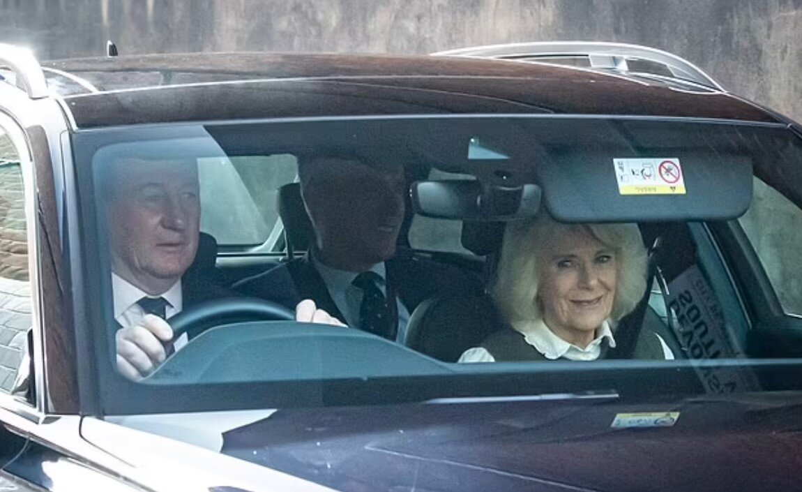 правописание приставок написание которых зависит от следующей буквы. перинатальный центр краснодар. выписывают 17. выписывают 17. выписывают 17.