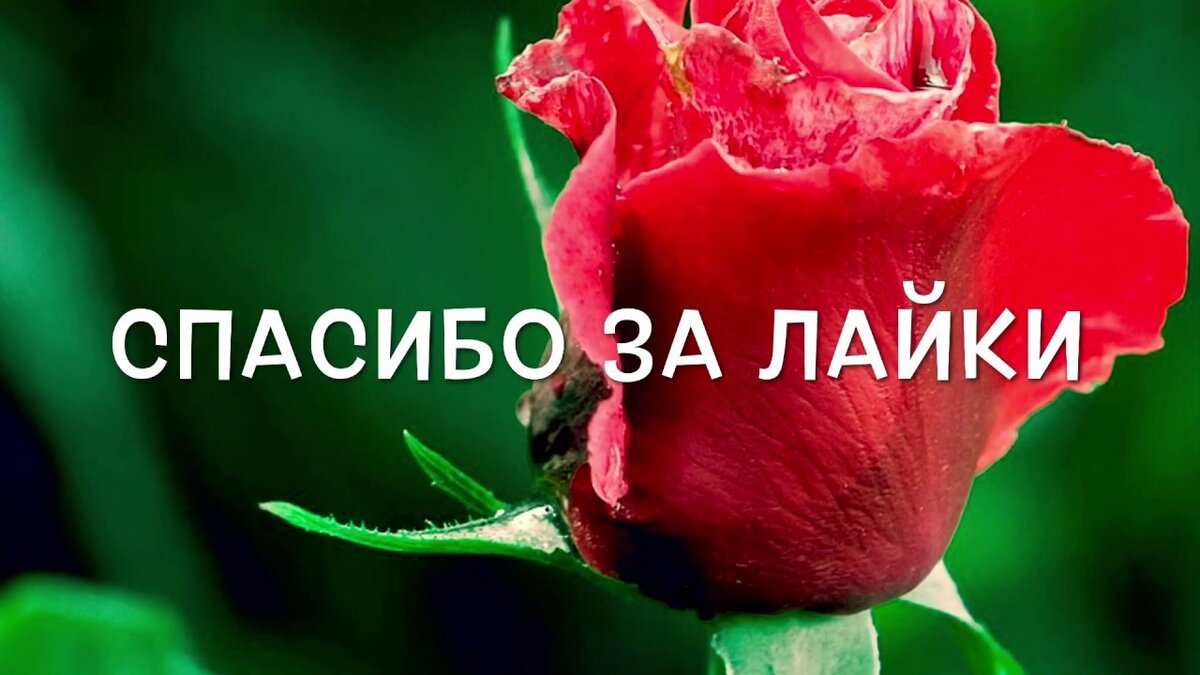 правильный сон. пробуждение ребенка. здоровый сон. факты о сне. ребенок просыпается вектор.