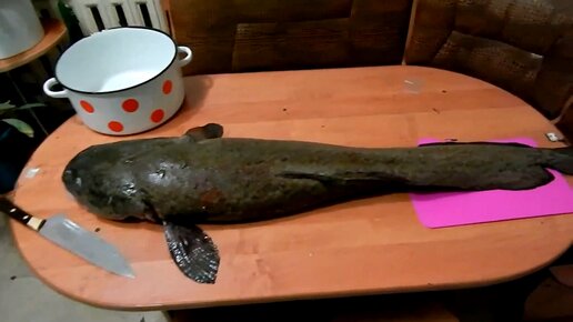 Иду отчаянно наш диалог был. Иду отчаянно наш диалог был. Только боль я иду отчаянно. Иду отчаянно наш диалог был. Песня вдоль дорог я иду отчаянно.