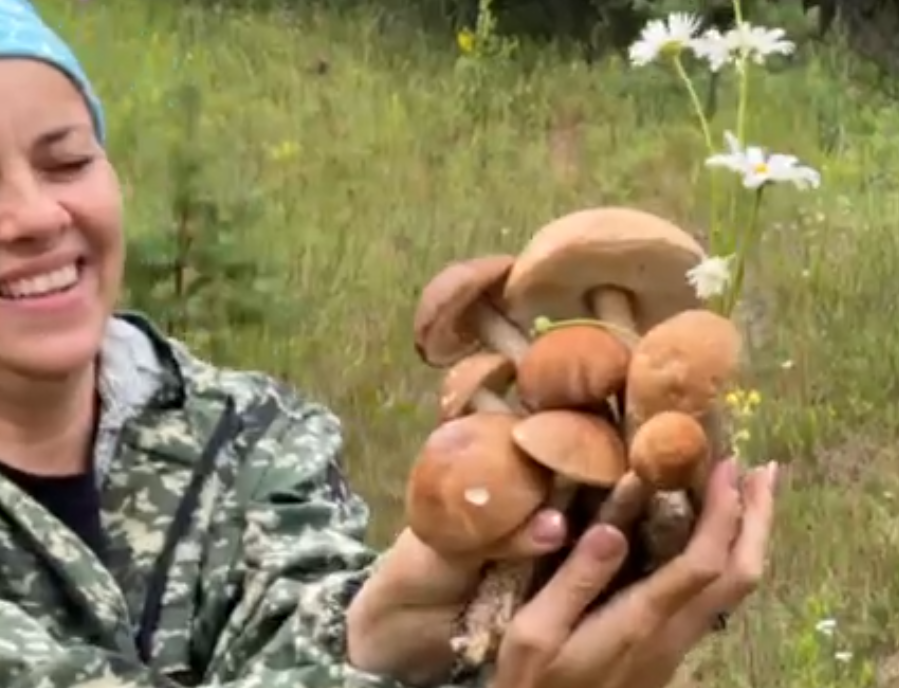 лучшие истории рассказы. осеева хорошее для детей. интересные детские книги. маленькие рассказы. сказки о животных.