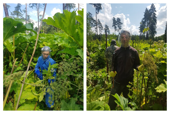 Буквальные инопланетяне. Огромный бинокль. Наблюдать исключить. Прочти отрывок из. Систематические погрешности обнаружение и исключение.