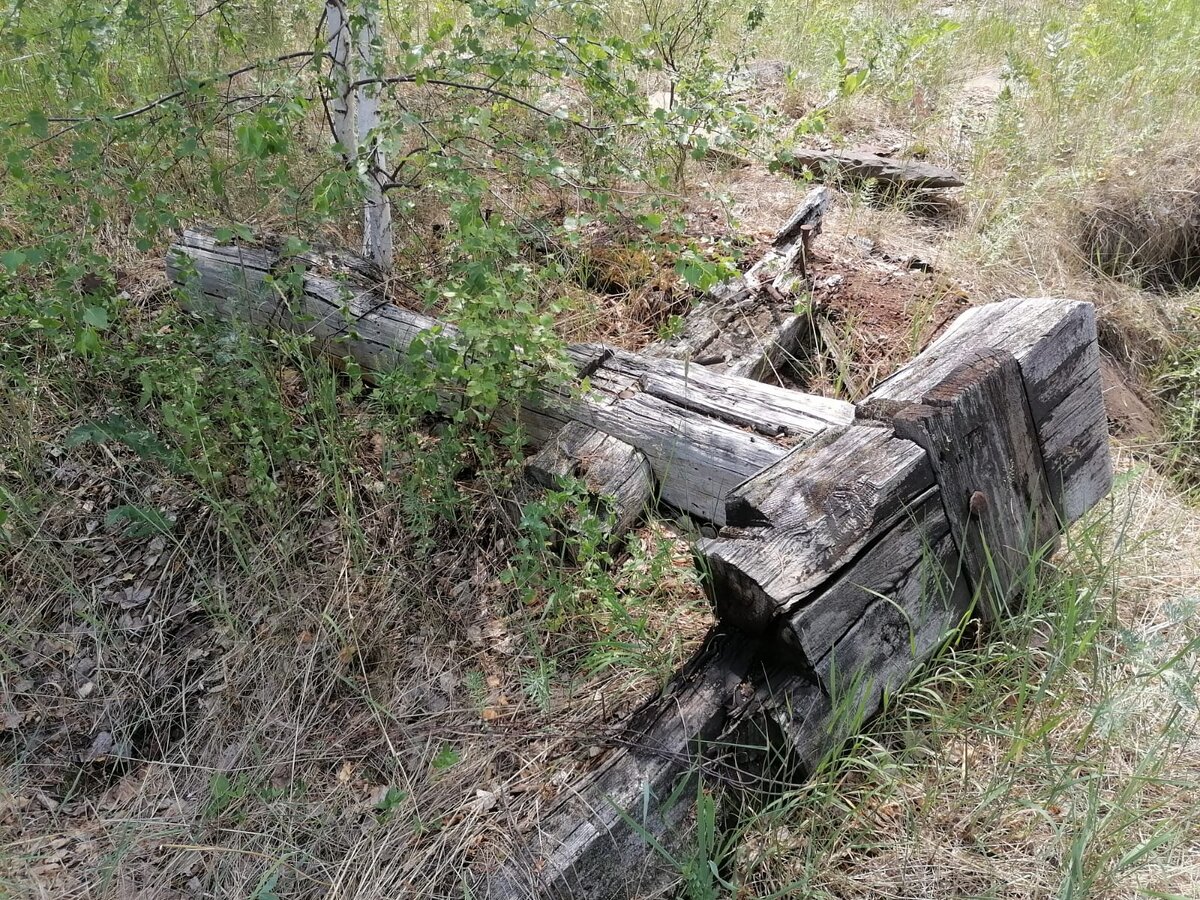 Заброшенные деревни в лесах привлекают своей загадочной и жуткой атмосферой  | На окраине деревни... | Дзен