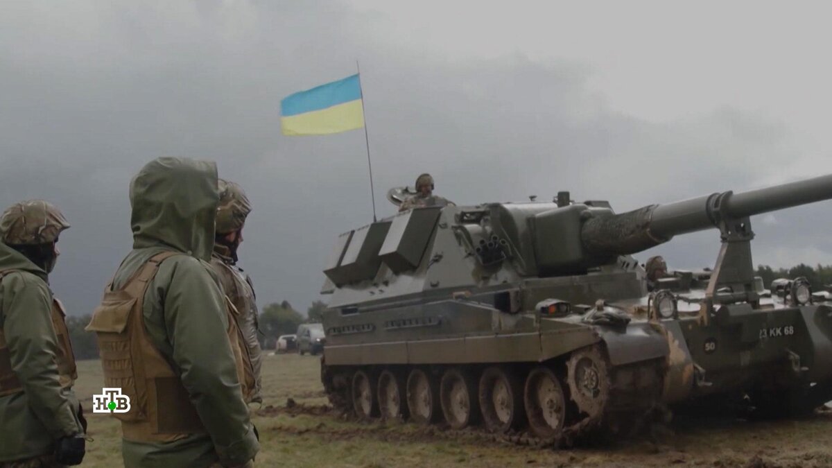 Идем холодно сказал. Кот доживаем. Смешное про весну. Мемы про весну. Идем холодно сказал.