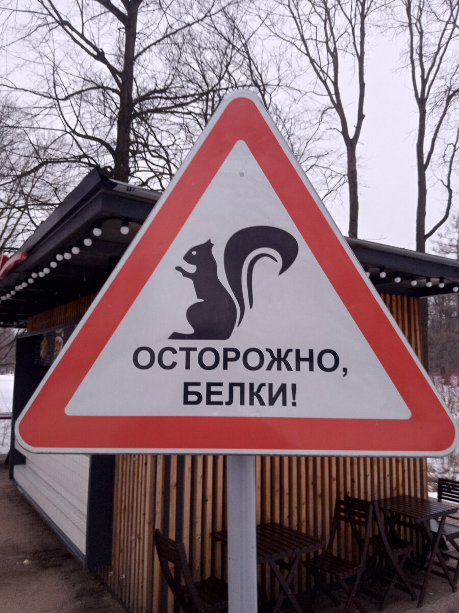 математика 5 класс номер 106. математика 5 класс страница 124 номер 456. номер 5. математика 5 класс виленкин мерзляков. русский язык 5 класс страница 93 номер 201.