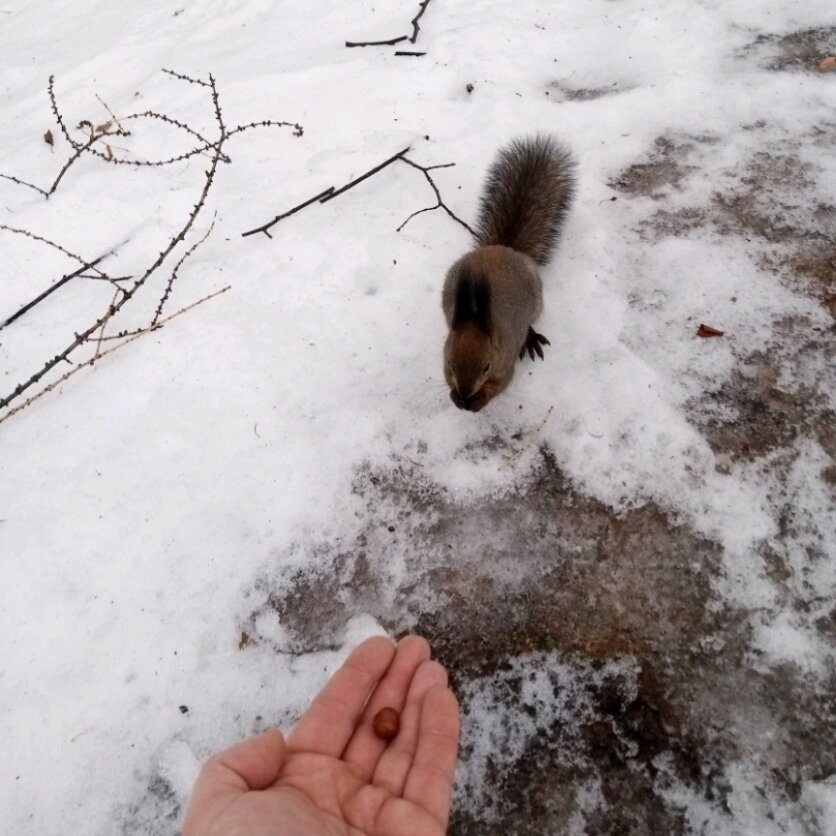 Островом 10 21. Остров 10-21. Островом 10 21. Шантарские острова охотское море. Островом 10 21.