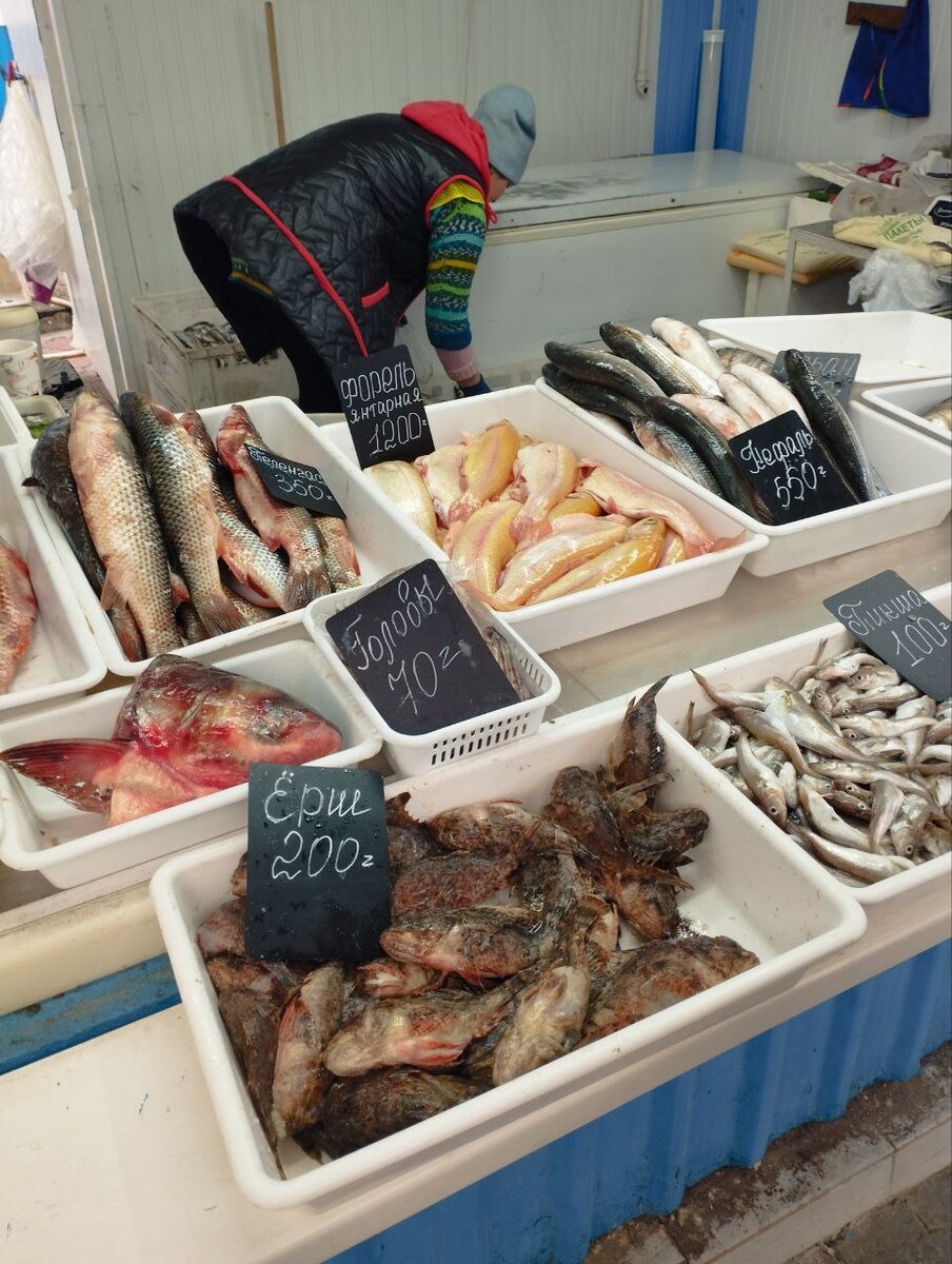 К чему снится рыба. Исламские книги для девушек. Плохой сон в исламе. Исламский сонник. Рыба во сне в исламе.