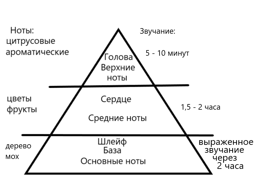 Ольфакторная пирамида аромата.