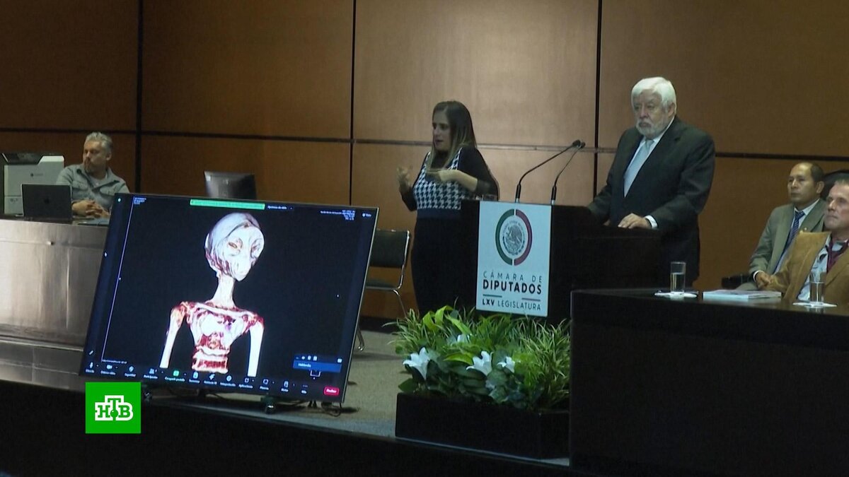    Уфолог показал Конгрессу Мексики рентгеновские снимки «неземных существ»