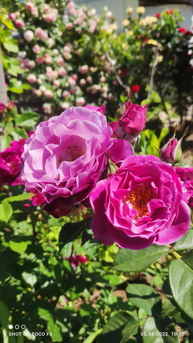 фото Нины