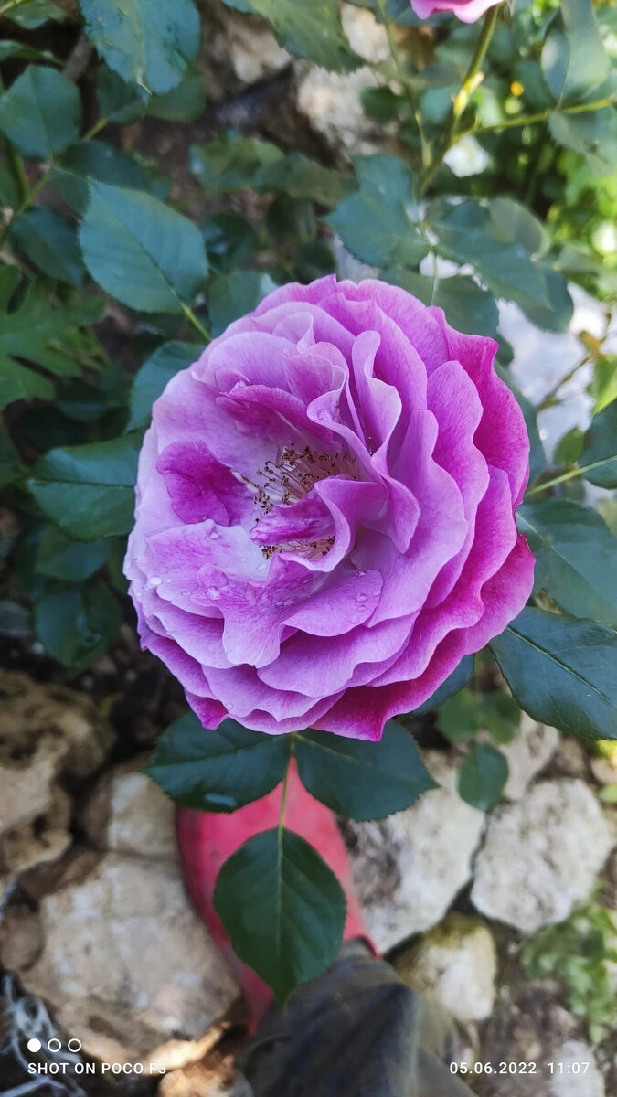 фото Нины