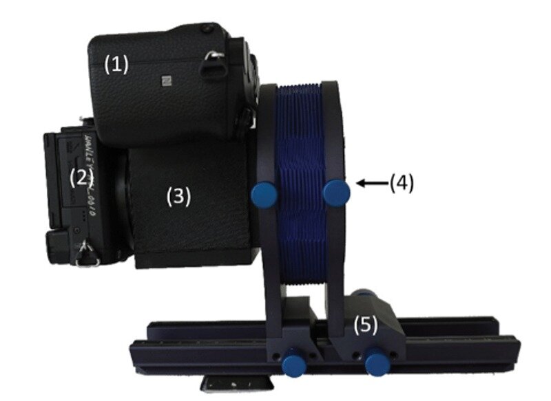 какое животное фильтр. живой фильтр. какое животное фильтр. какое животное фильтр. животные коллаж.