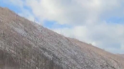 Рассказ про сан саныча на дзене