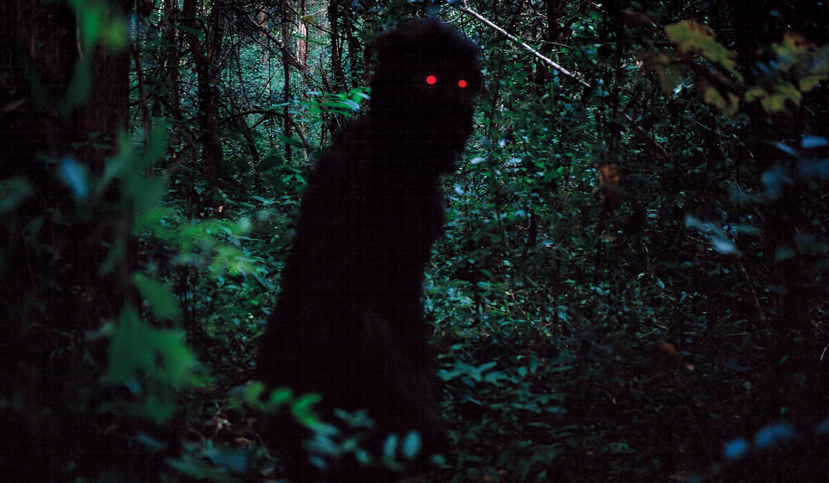 Существа с черными глазами. Чёрное существо с красными глазами. Существо с красными глазами в лесу. Привидение в лесу.