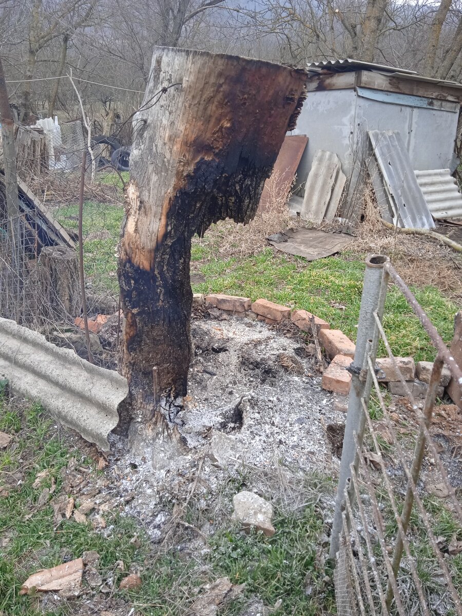 Неделю выжигала пень и только это сгорело. Терпения не хватило, так и валяется) 