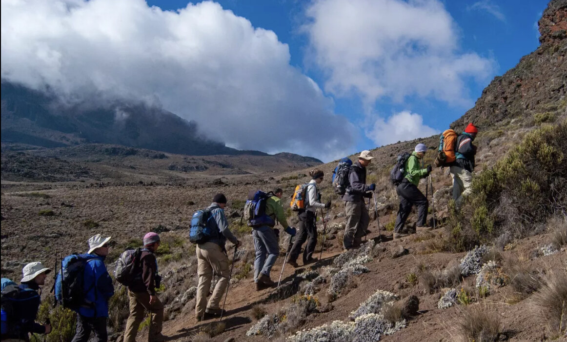 ассоциация горных гидов россии лого. федерация альпинизма россии. кавказ эльбрус восхождение. детский лагерь альпинист. политехническая школа в париже.