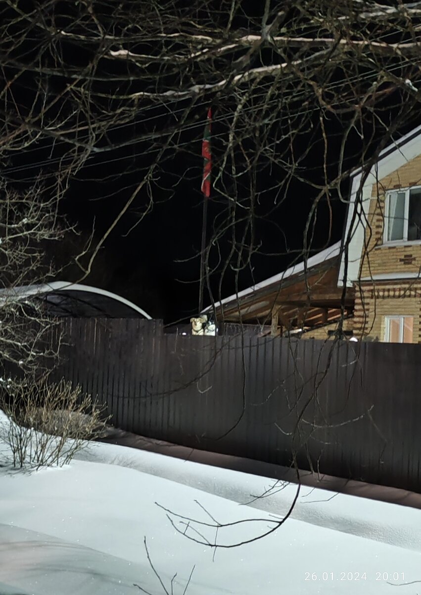 Рис. 1. Вон они, делят первое место