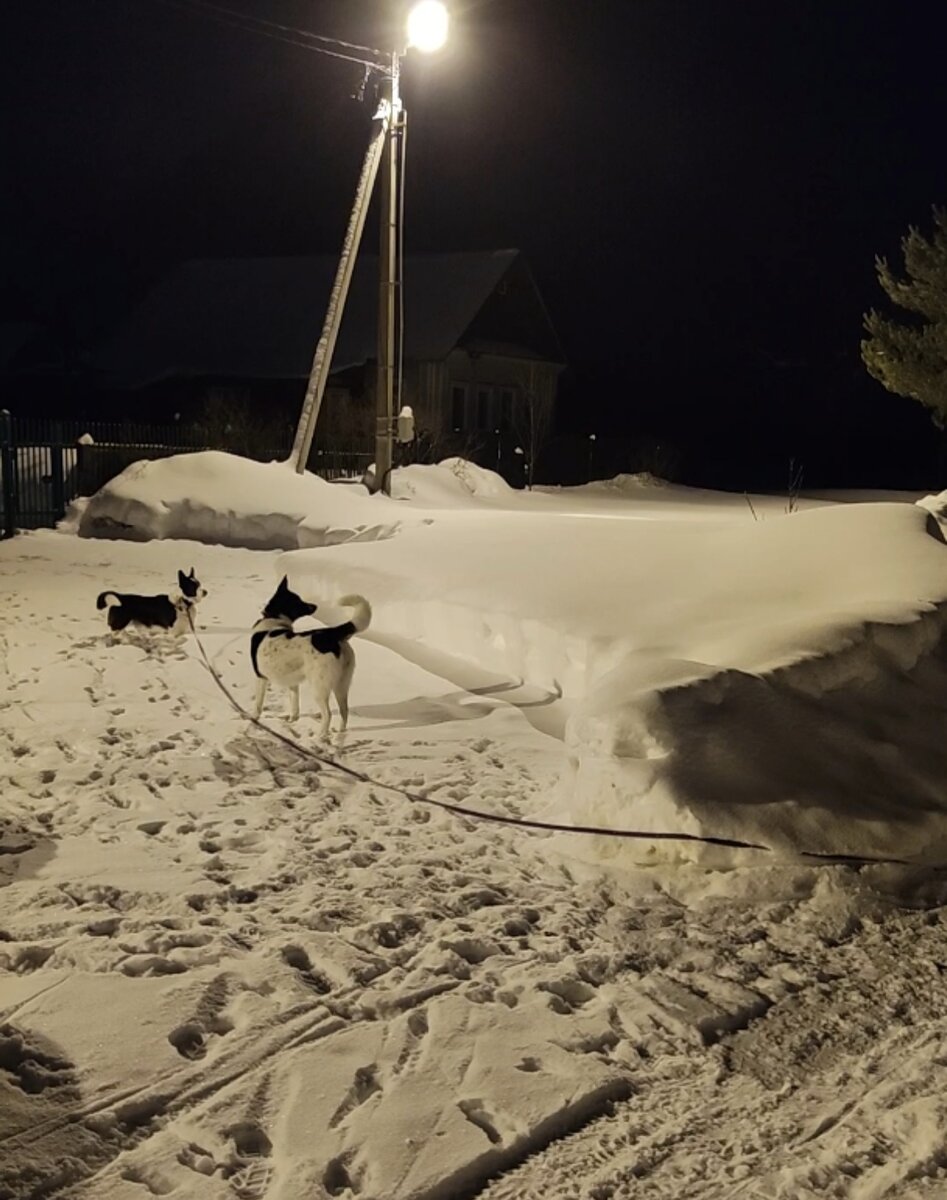 Рис. 2. Я и она.