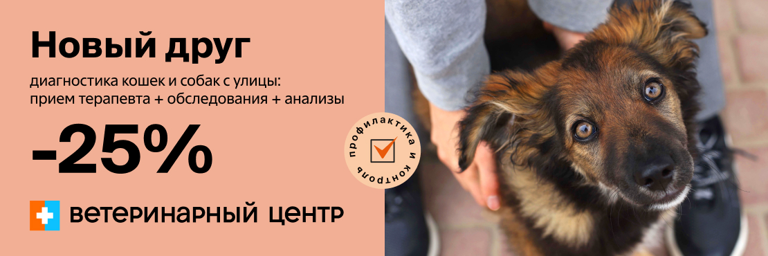 Работа четыре лапы