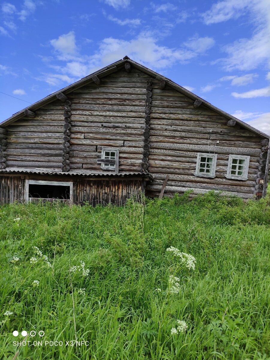 Там где была деревня. Деревни россии. Деревня яновищи тверская область. Пустырь в деревне. Наташино деревня.