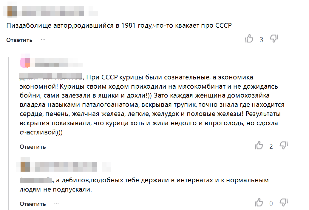 Имена комментаторов замазаны из этических соображений. И автор той статьи, к которой относился комментарий, родился на 10 лет раньше — в 1971 году.
