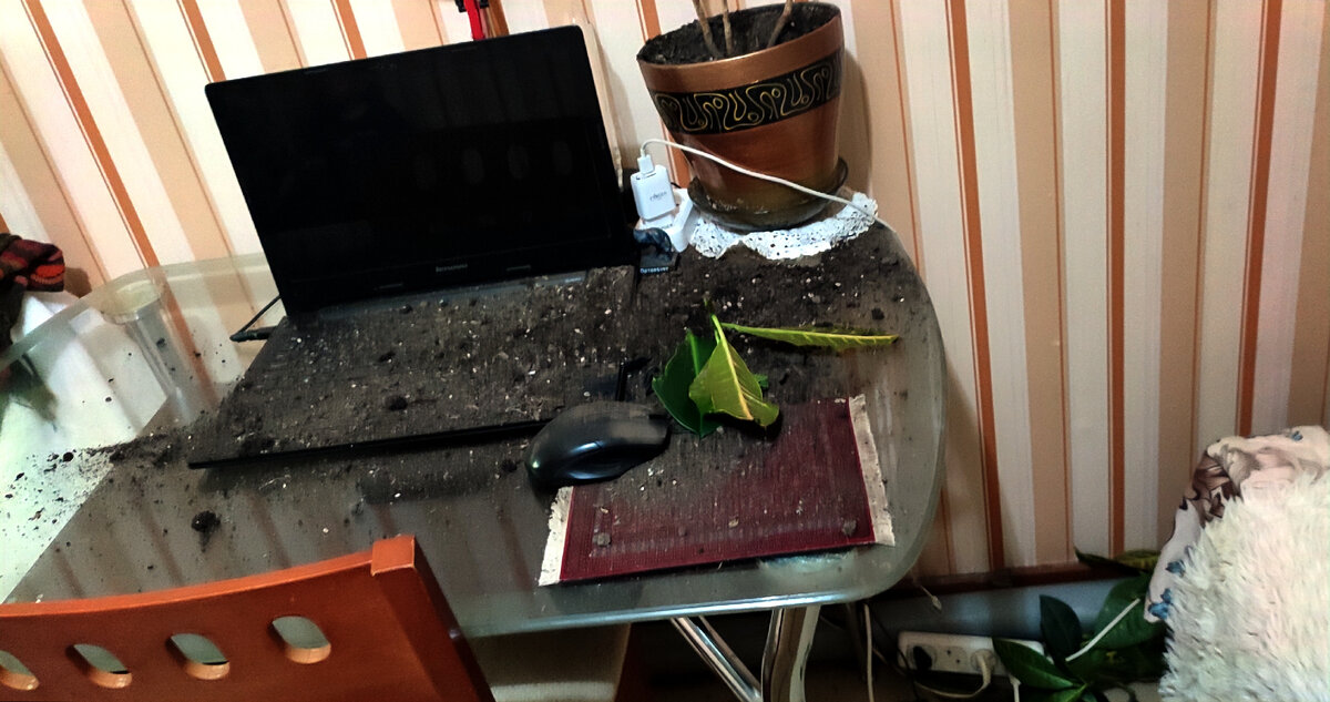 Ноутбуку повезло что это всего лишь земля, а не вода или что-то подобное 😊