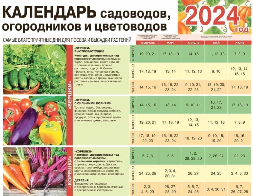 Лунный календарь на август цветовода комнатные