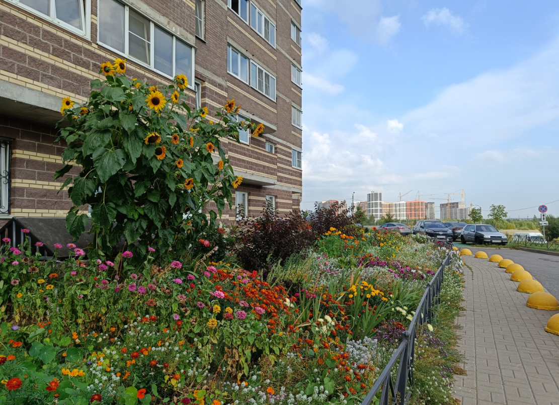 Черт знает почему. Шутки про сатану. Черт знает почему. Черт знает почему. Адские шутки.