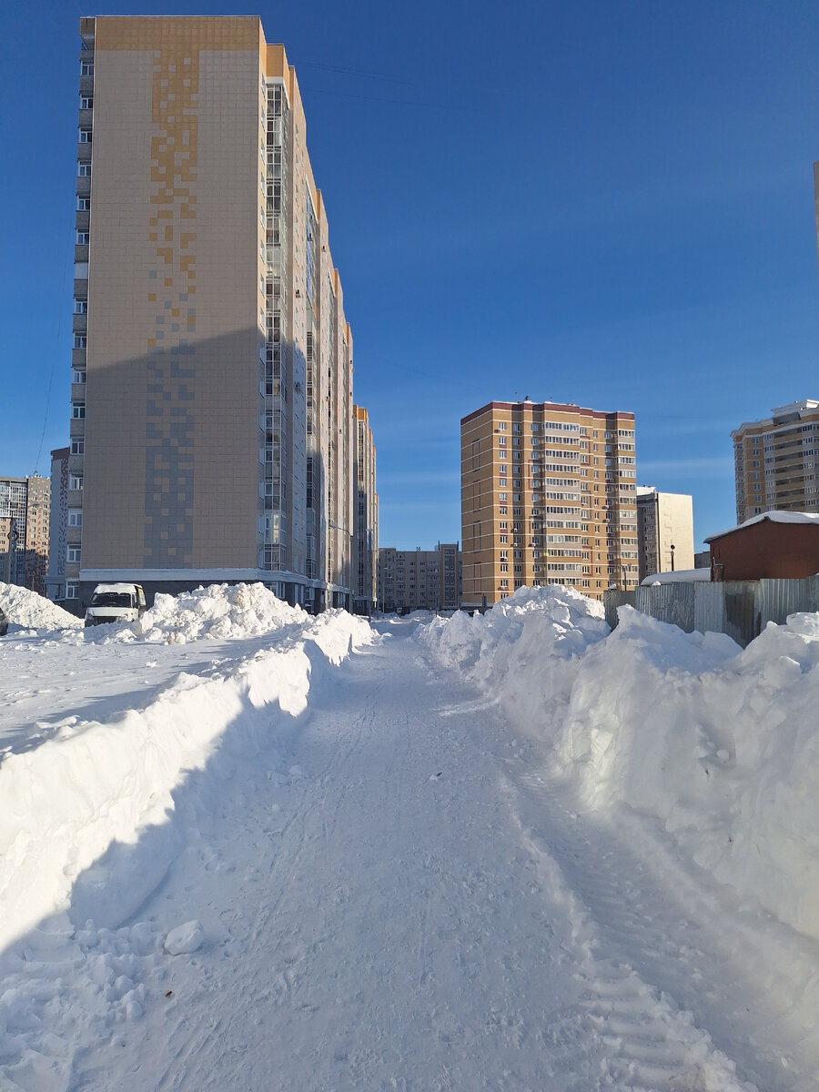Фото автора. Это я на обед гулять вышла