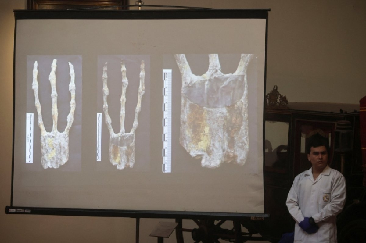 Обнаружение костей. Мамонтовая пещера кости мамонта. Некошерные рыбы. Обнаружение костей. Семиотика наиболее частых поражений костной ткани: остеомаляция.