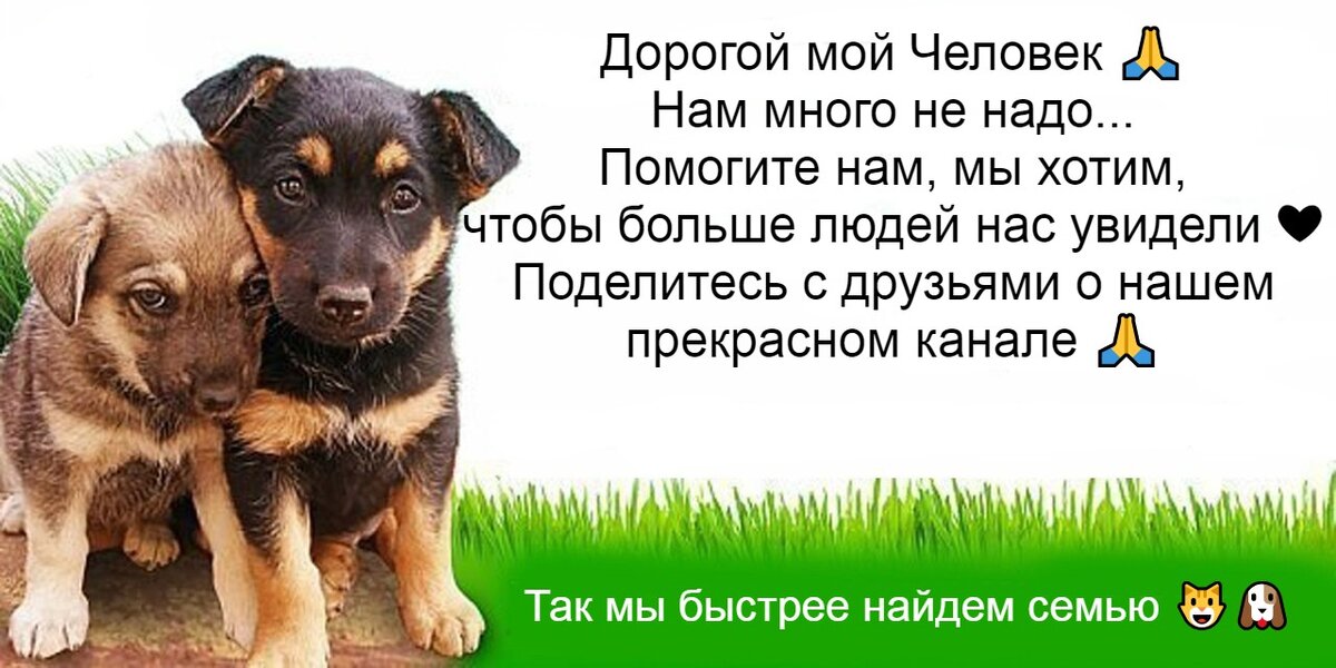 Поделитесь с другими о нашем канале