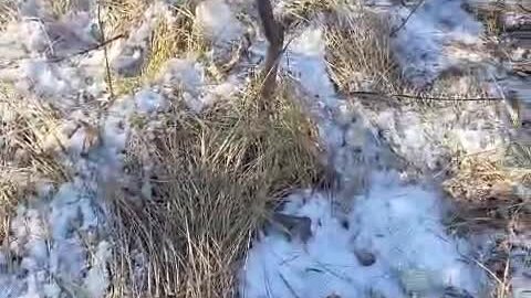 выбрать автора. что хотел сказать автор. как понять что хотел сказать автор. что хотел сказать автор читателю. учительница литературы пытает автора который ничего не хотел сказать.