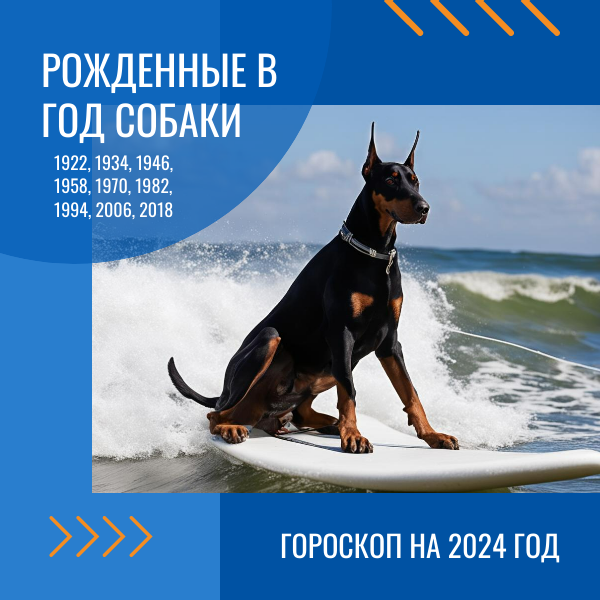 Краткий прогноз на 2024 год для рожденных в год Собаки