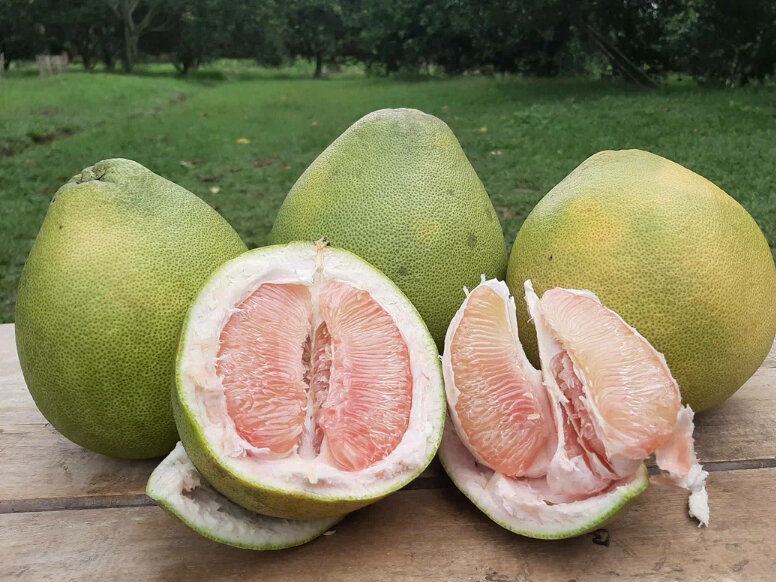 грейпфрут оробланко. гибрид апельсина и помело. какой на вкус грейпфрут. апельсин — гибрид фрукта помело и мандарина. фрукт смесь грейпфрута и апельсина.