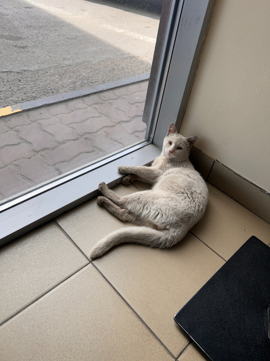 Кто я мемы. Для тебя хоть. Мемы про отца. Ты знаешь хоть какой. Что вы знаете обо мне цитаты.